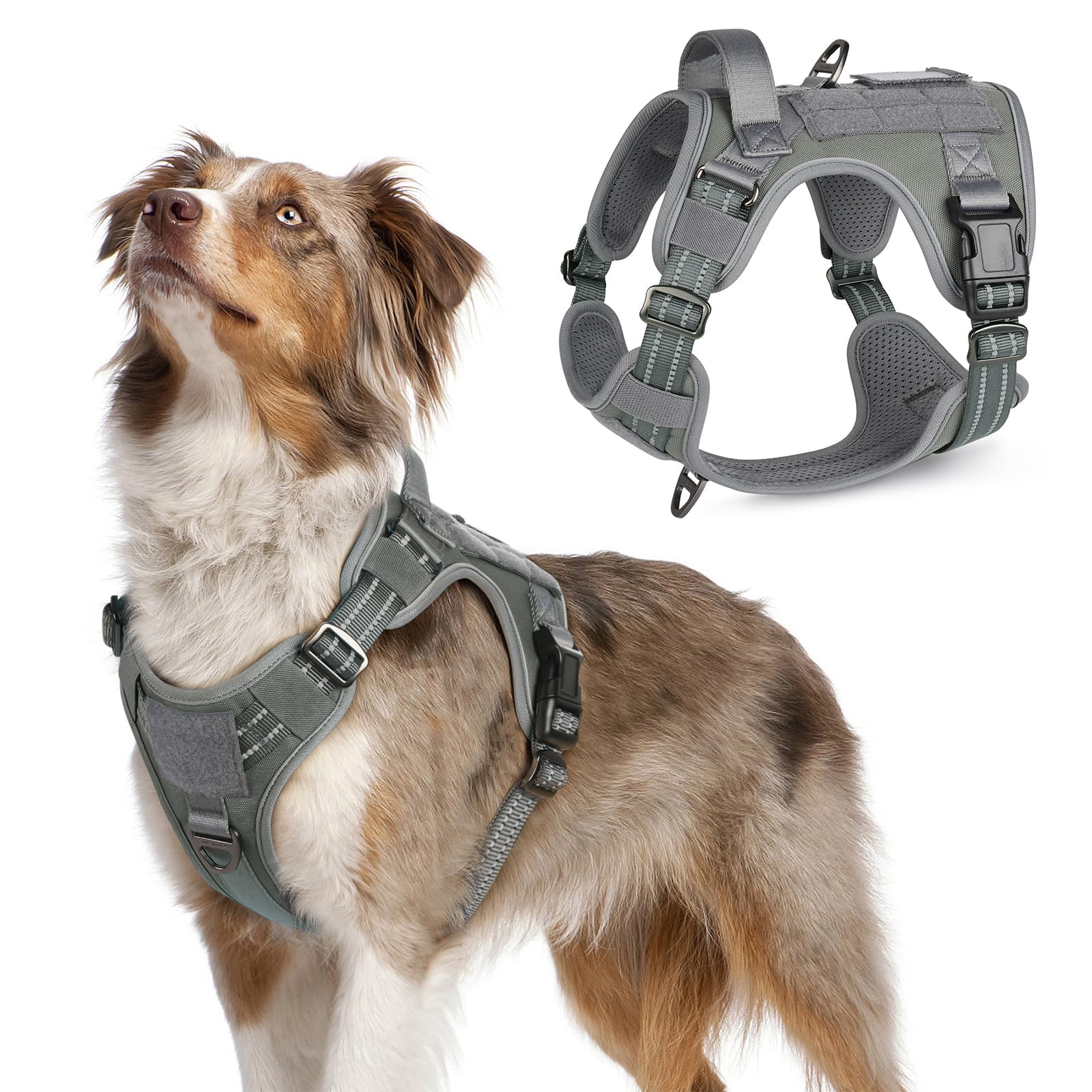 Curated visual reference: Safety Harness For Medium Sized Dogs Reference: Snapklik Com Rabbitgoo Tactical Dog Harness Medium Sized Dog No