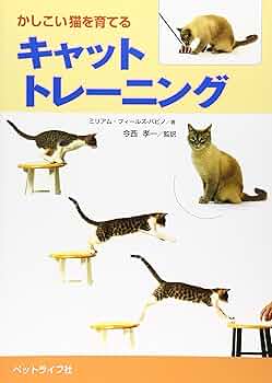 【国内即発】青い目のねこちゃん☆アリストキャット☆シルバー♪ 81EZF03Mm3L._UF350,350_QL50_.jpg