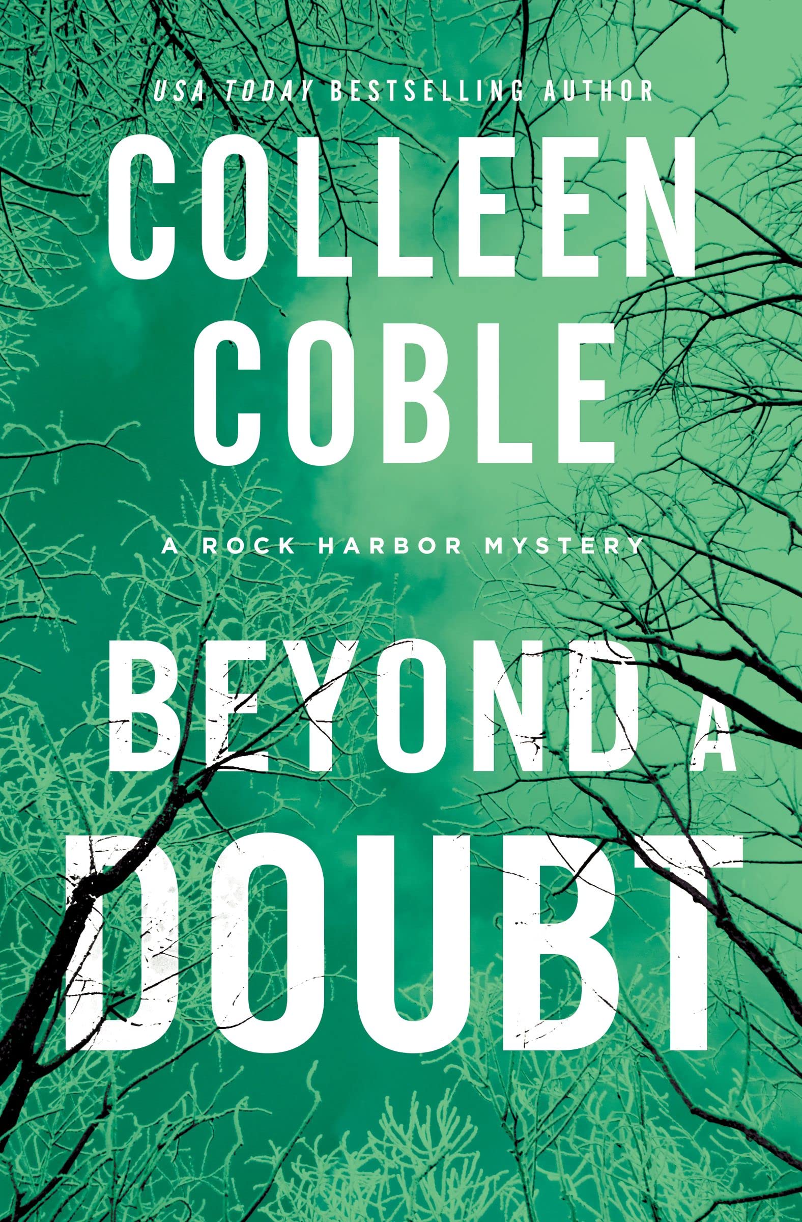 Beyond a Doubt (Rock Harbor Series Book 2)