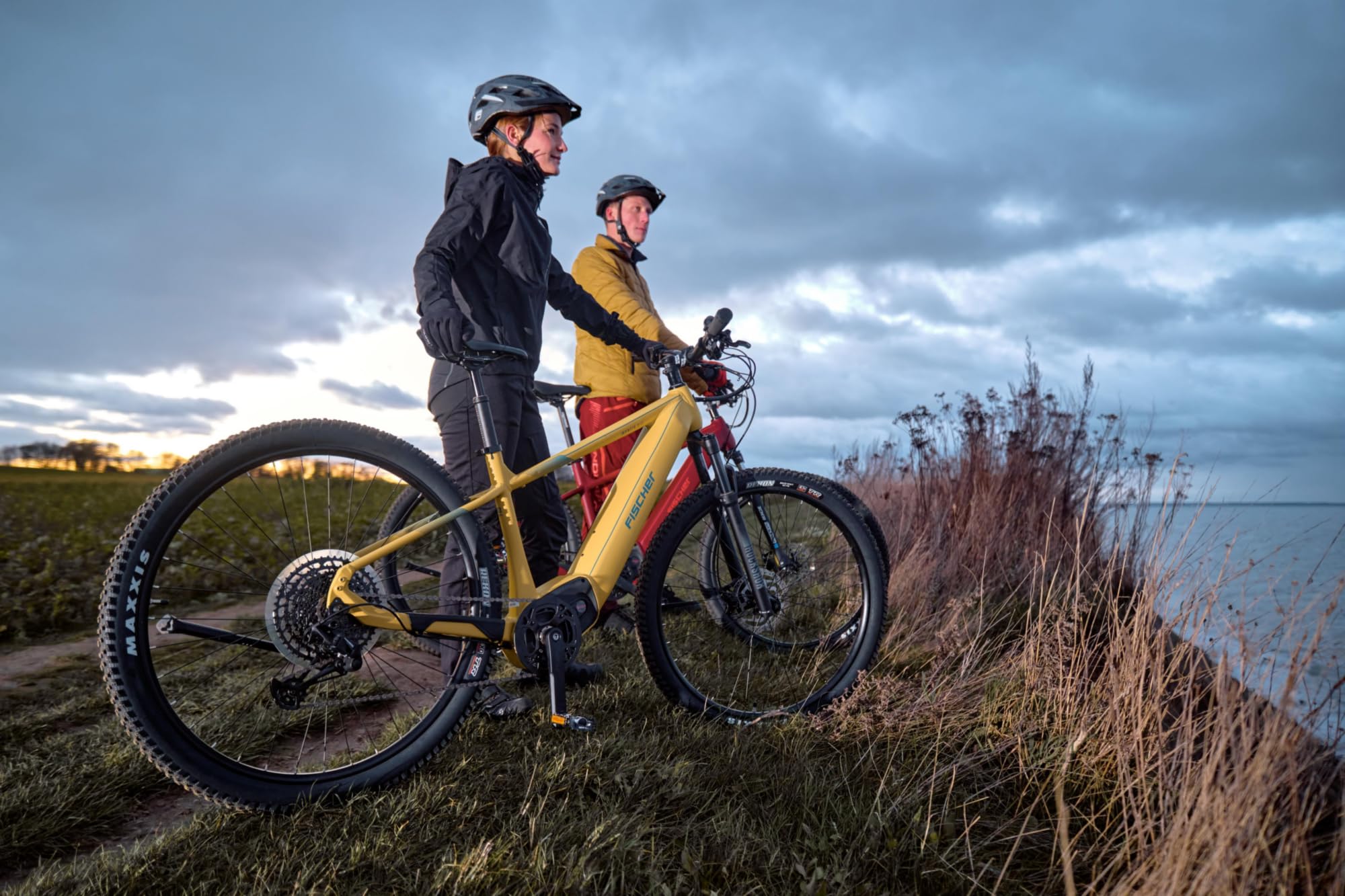 Fischer Montis 8.0i - Bicicleta eléctrica de montaña eléctrica para Hombre y Mujer, Motor Central, 90 NM, batería de 36 V