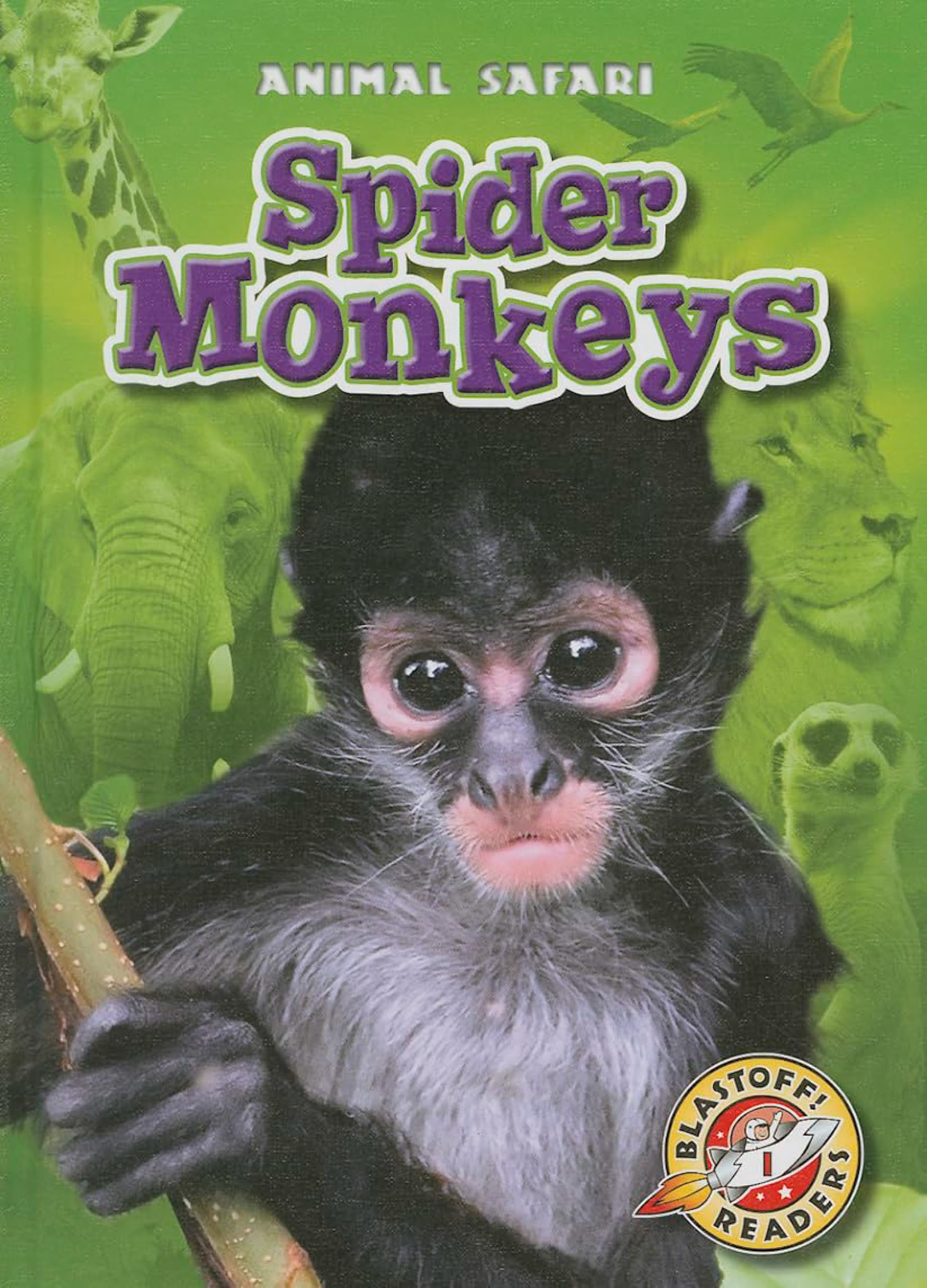 Spider Monkeys (Blastoff! Readers: Animal Safari) Library Binding – January 1, 2014
