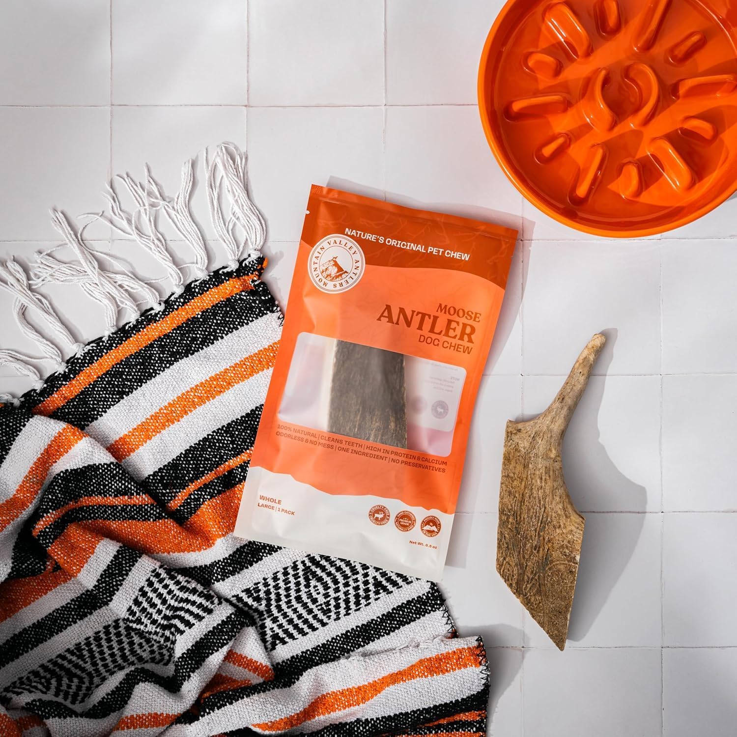 Mountain Valley Moose Antlers for Dogs - 100% Natural & Organic Chew for Aggressive Chewers, No Odor, No Mess, Long Lasting - Wild-Foraged Naturally Shed Antlers in USA - Grade A, Whole Large (1 Pack)