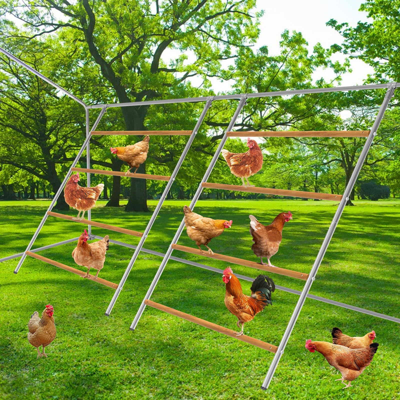 2 pcs Chicken Perch for Chicken Coop, 55" L ×41" W Wooden Chicken Roosting Bar Ladder, Chicken Toys for Coop Adult Hens Backyard Poultry Chicken Coop Accessory