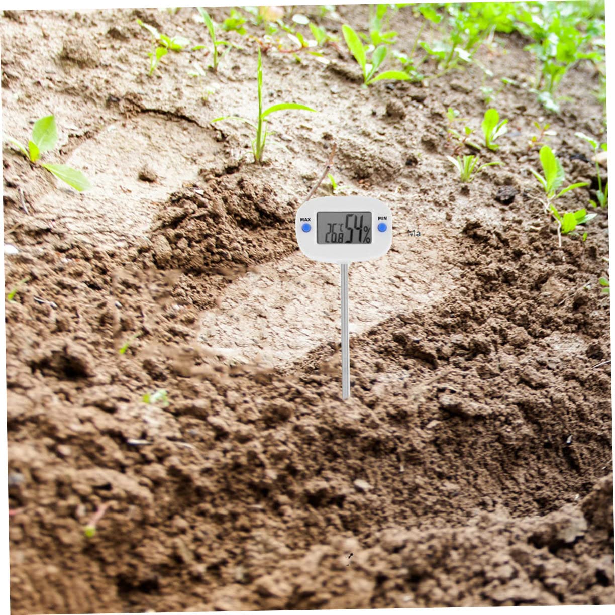 Toddmomy 3 Pezzi Rilevatore Di Temperatura E Umidità Termometro Per Umidità Monitor Del Terreno Igrometro Misuratore Del Terreno Per Giardinaggio Strumento Per Testare Il Terreno Monitor