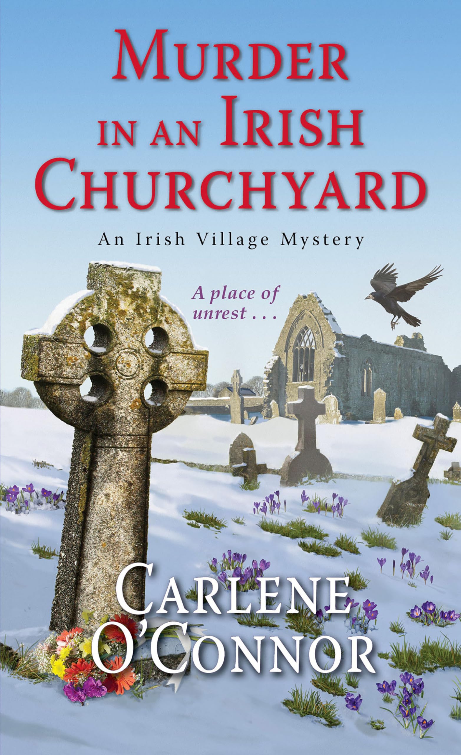 Murder In An Irish Churchyard by Carlene O'Connor PAPERBACK 9781617738548