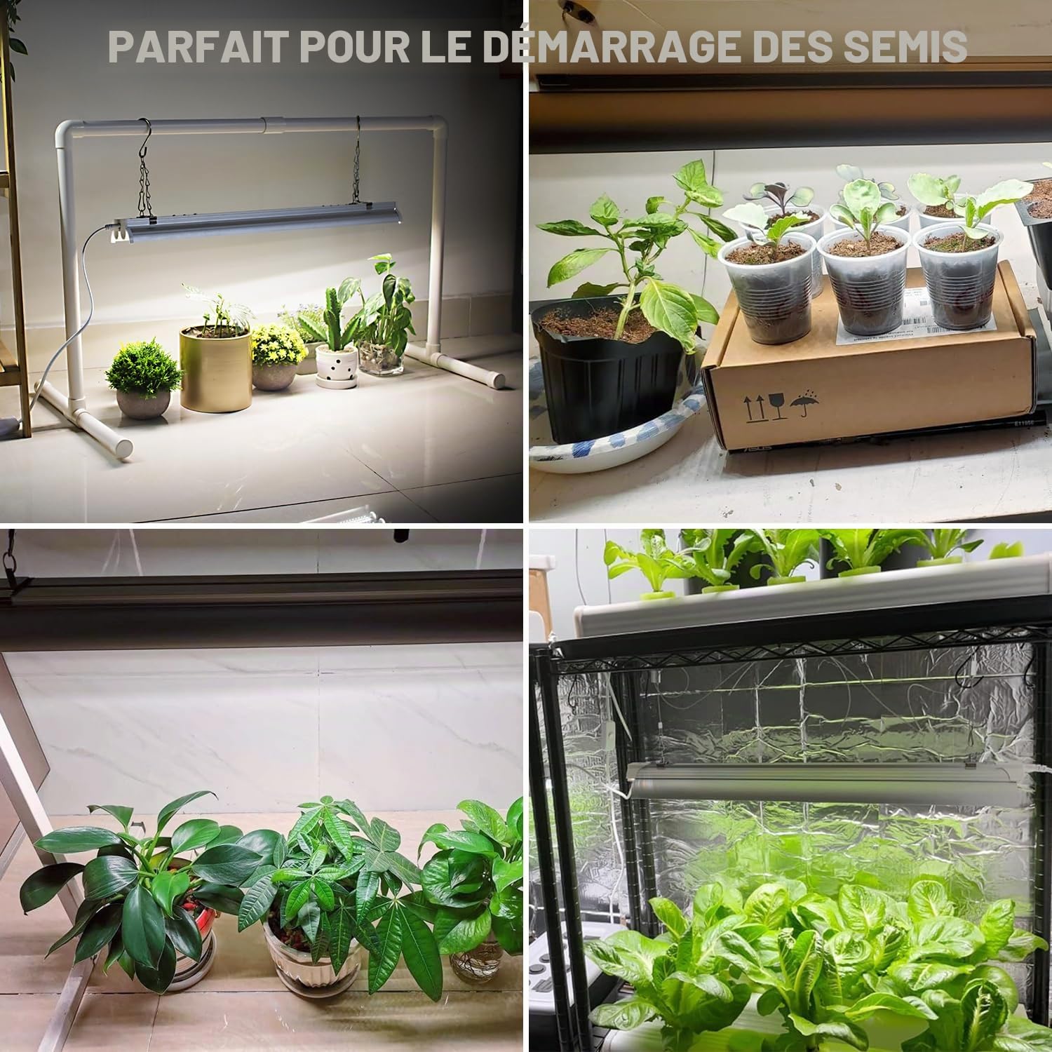 Wolezek Lampe pour Plantes LED à Spectre Complet avec Minuteur 6/9/12H, 144 LED, Lampe de Croissance T5 de 60 cm, Lampe Blanche pour Plantes, Ensemble de Lampe pour Démarrage de Semences pour Plantes