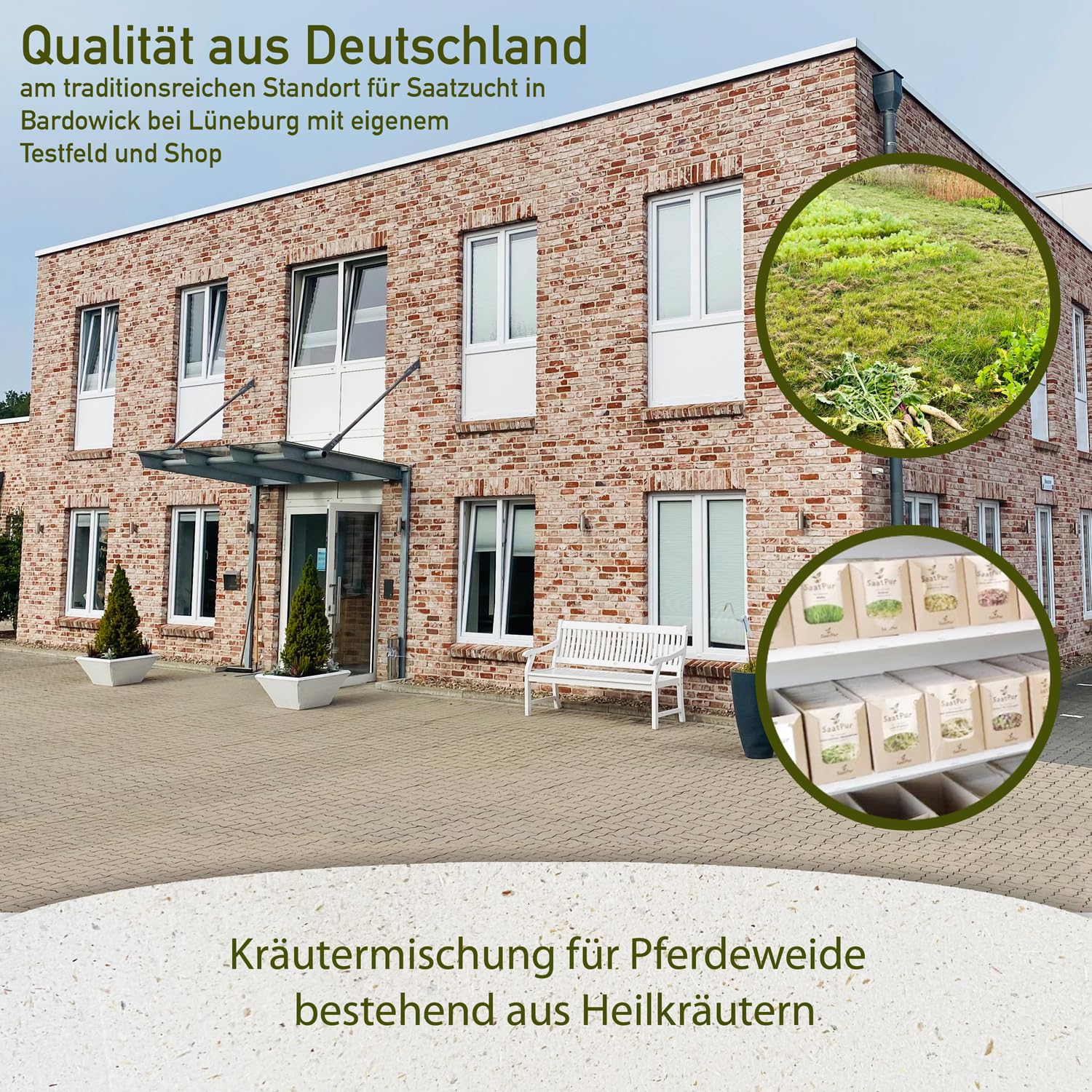 1 kg Kräutermischung für Pferdeweide mit Heilkräutern Pferdewiese Wiesenkräuter Kräutersaat Dauerweide Mähweide