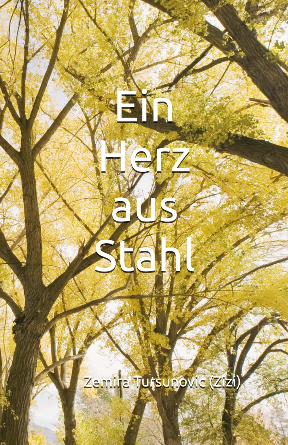 Ein Herz aus Stahl