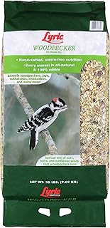 Lyric Woodpecker Wild Bird Seed for Outside Feeders, Shelled, No Waste Bird Seed with Nuts & Dried Fruit, 20 lb Bag