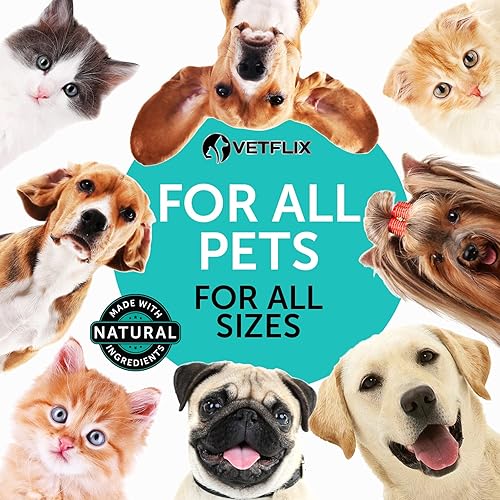 Vista 6 de Probióticos prémium para perros y gatos - Suplemento de enzimas digestivas y prebióticos - Ayuda a aliviar la diarrea, vómitos, malestar estomacal