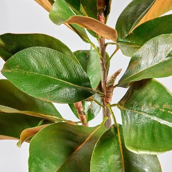 Afloral Faux Magnolia Leaf Branch - 41