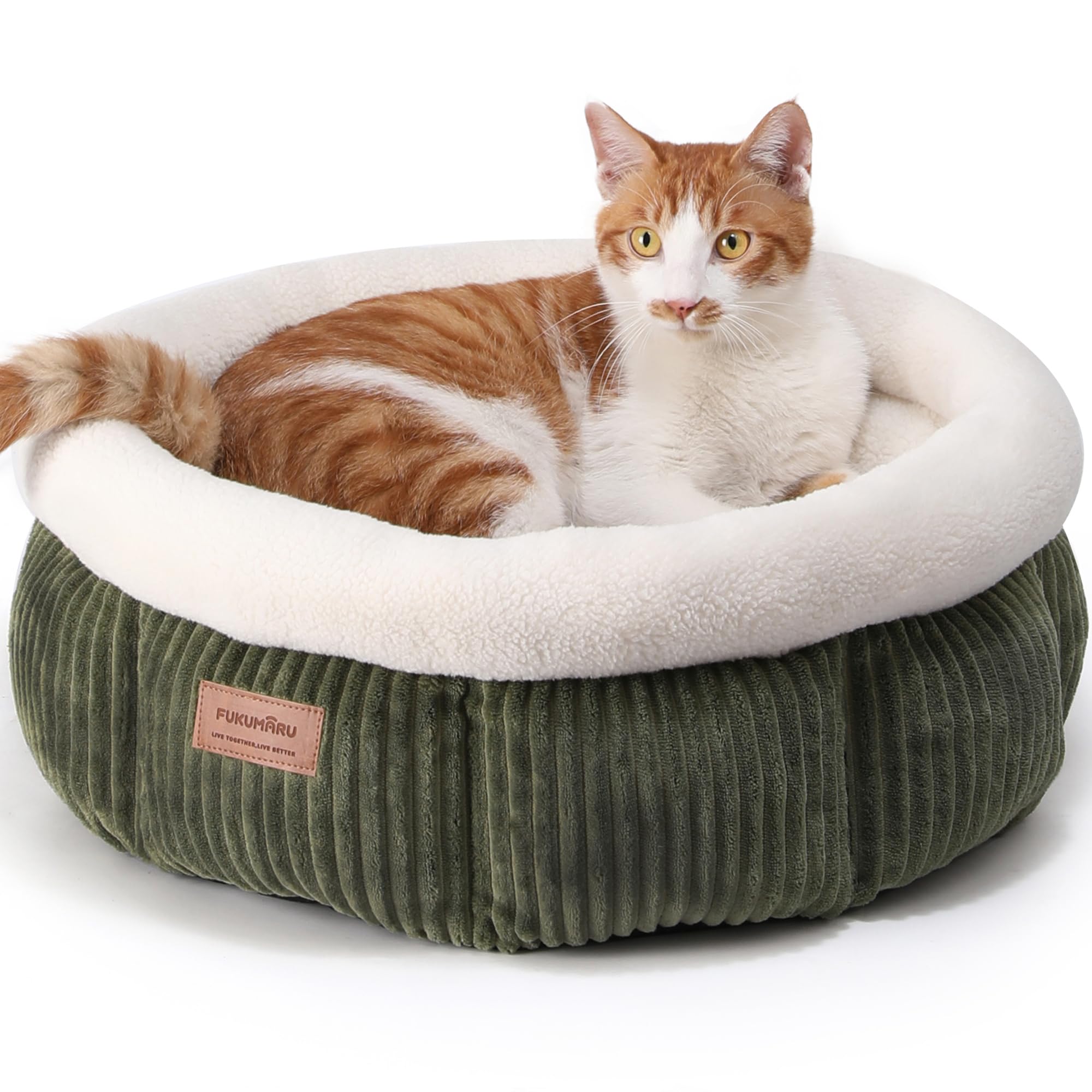FUKUMARU Cuccia Gatto Interno, Lavabile Cuccia Rotonda per Gatti, Cuscino Morbido e Soffice per Gatti e Cuccioli, Letto Carina per Cani di Piccola Taglia in Velluto a Coste, Verde