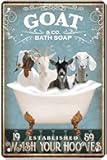 Funny Goat Bathroom Decor - Goat Lovers Accessory - Farm Themed Metal Wall Art Poster - 8x12 Inch