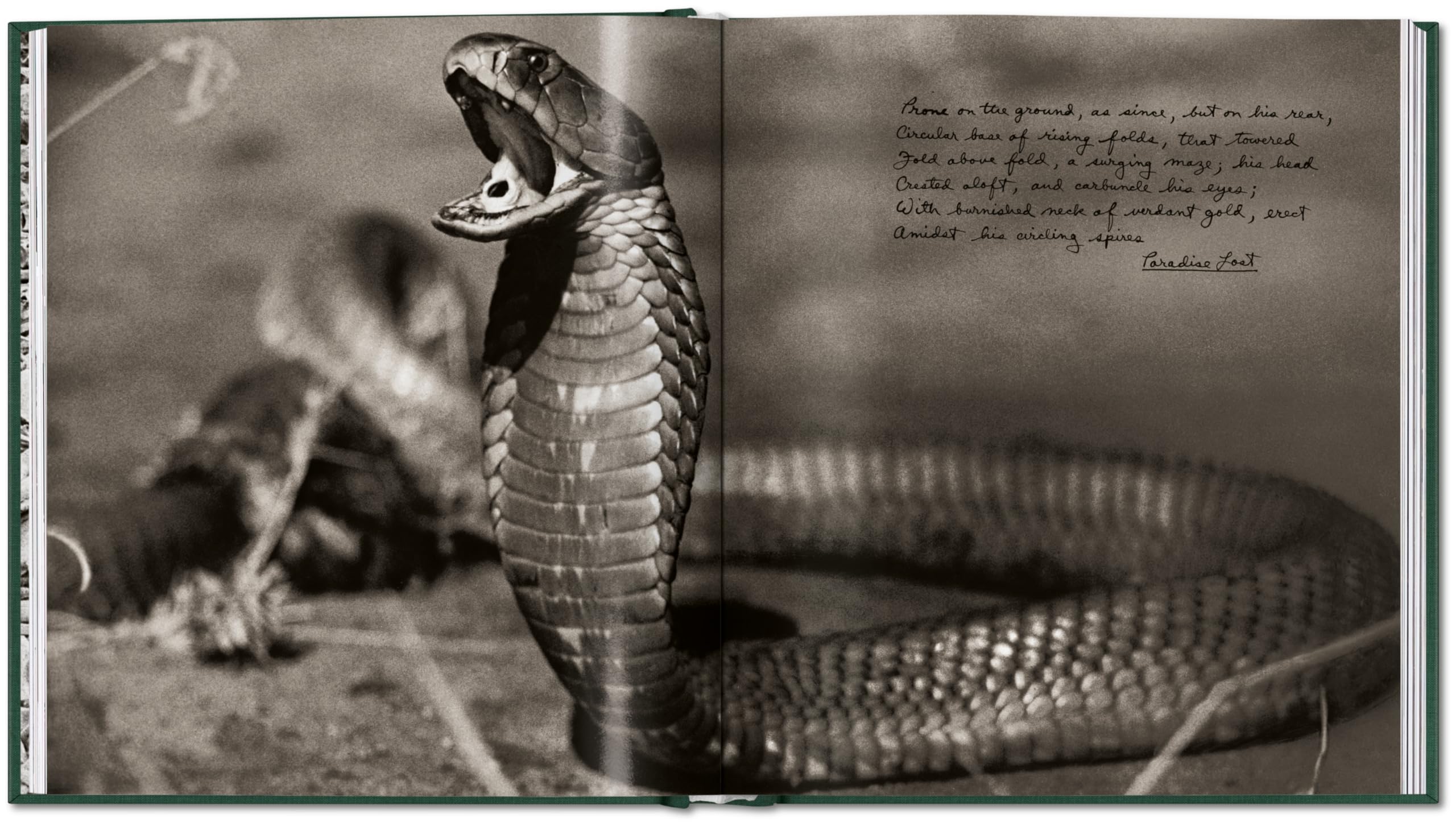 Peter Beard: The End of the Game