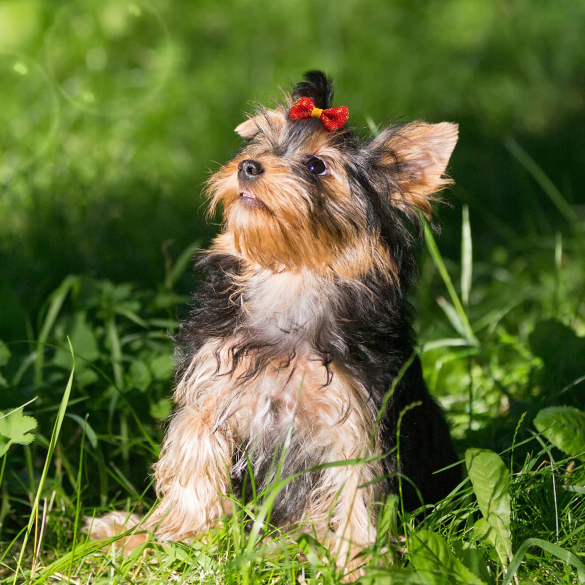 Accessoires pour Cheveux de Chien Arc Coiffe 50 Pièces épingle à Cheveux Animaux Cheveux de Chien Arcs Accessoires avec des Bandes de Caoutchouc pour Petits Chiens, Chats, Couleurs au Hasard