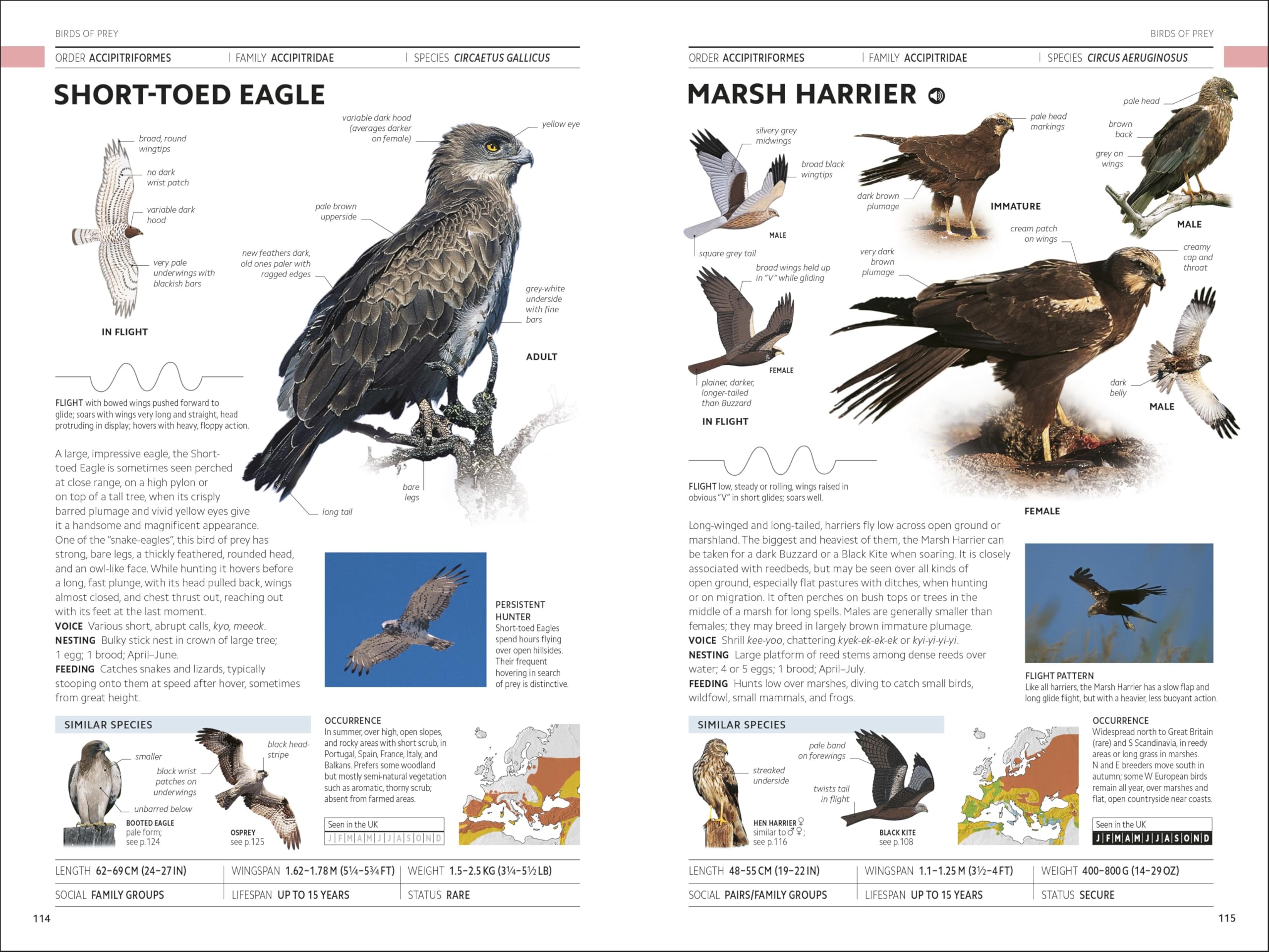 RSPB Birds of Britain and Europe: The Definitive Photographic Field Guide