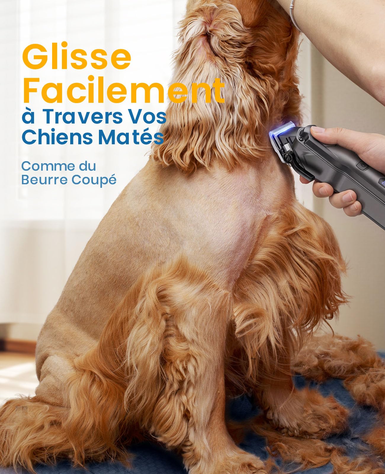 oneisall Tondeuse pour chien