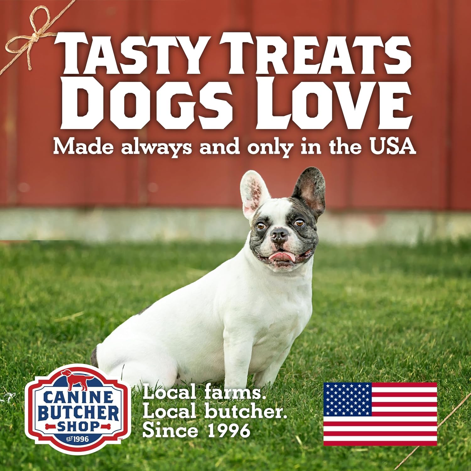 Turkey Tendons for Dogs, All-Natural Dog Chews, 8 Oz | High-Protein, Low-Fat, No-Hide Recipe, Alternative to Rawhide, Made in the USA thumbnail