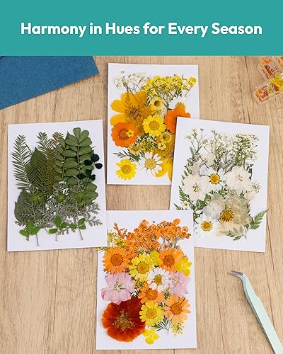 Vista 5 de Resiners - Flores secas, 100 piezas de flores prensadas para manualidades, color amarillo, flores secas naturales, kit de hojas secas