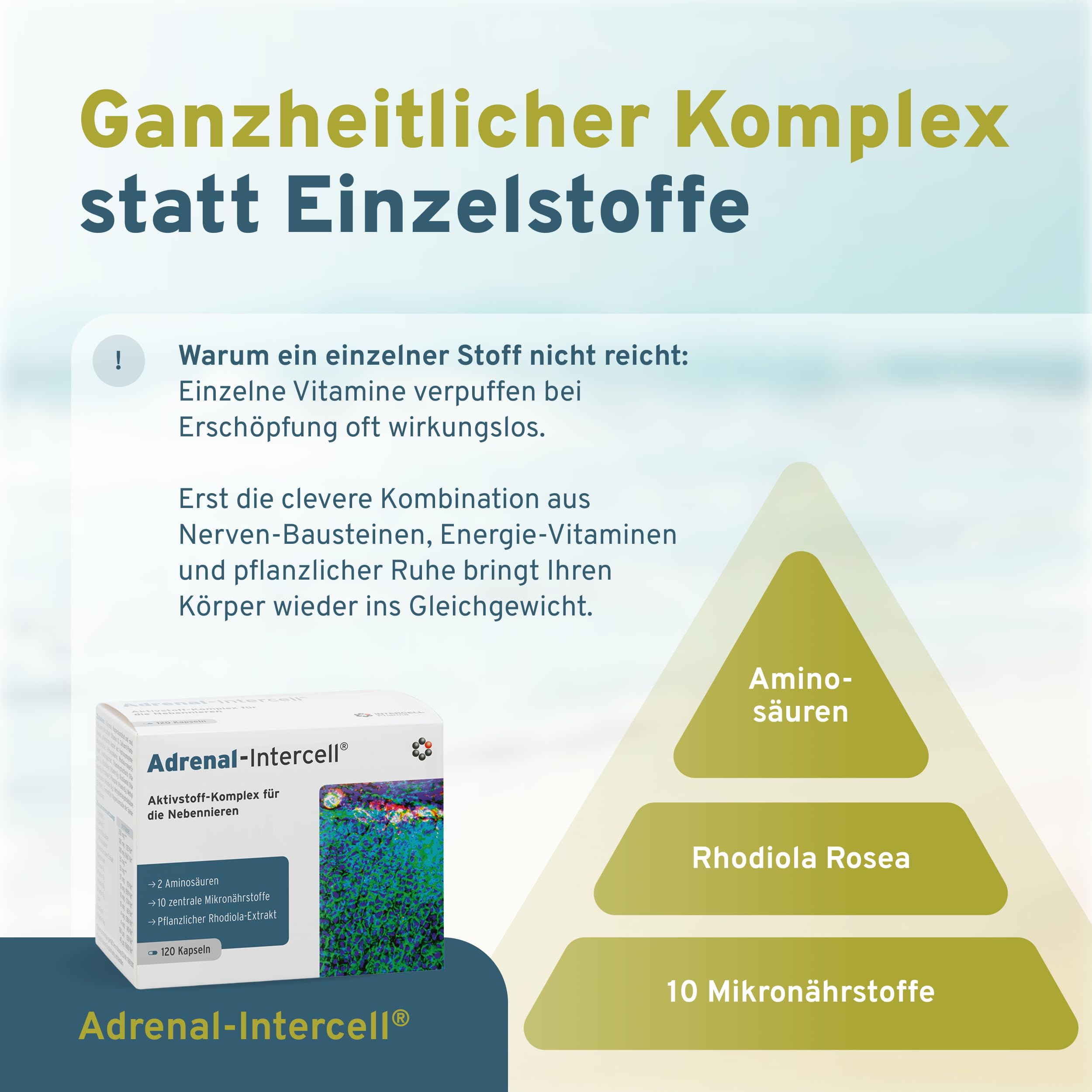 Adrenal Intercell (120 Kapseln) - Aktivstoff für die Nebennieren - mit L-Tyrosin (Aminosäure), Vitamin C, Pantothensäure, Rhodiola, Magnesium, Zink, Vitamin B1, B2, B3, B6, B12 & Folsäure
