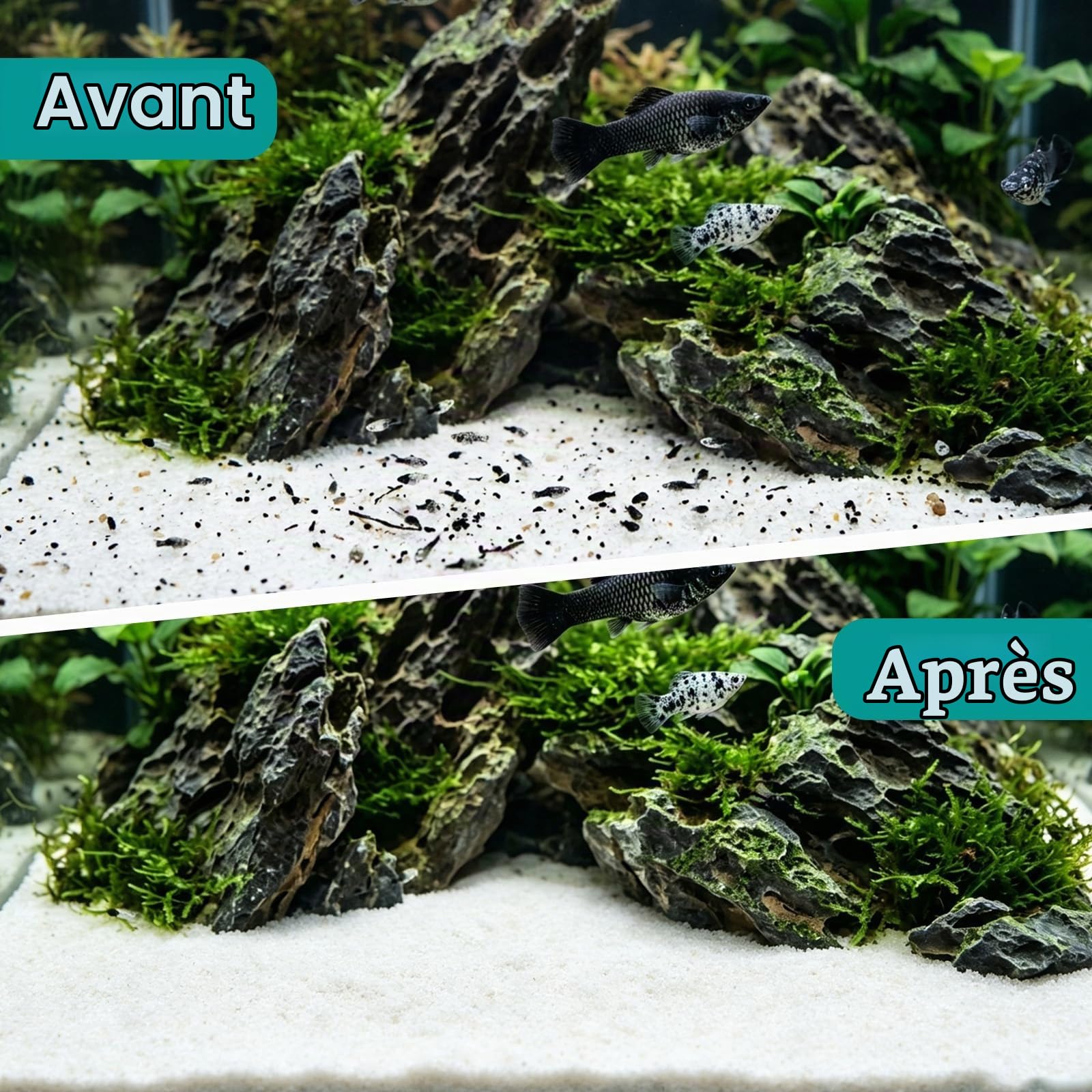 hygger Aspirateur Aquarium Nettoyage de Gravier, 15W Aspirateur de Gravier d'aquarium 2000L/H Electrique Aquarium Changeur Mode Automatique/Manuel