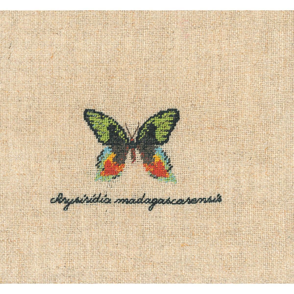 Le Bonheur des Dames Petit Point Embroidery Kit