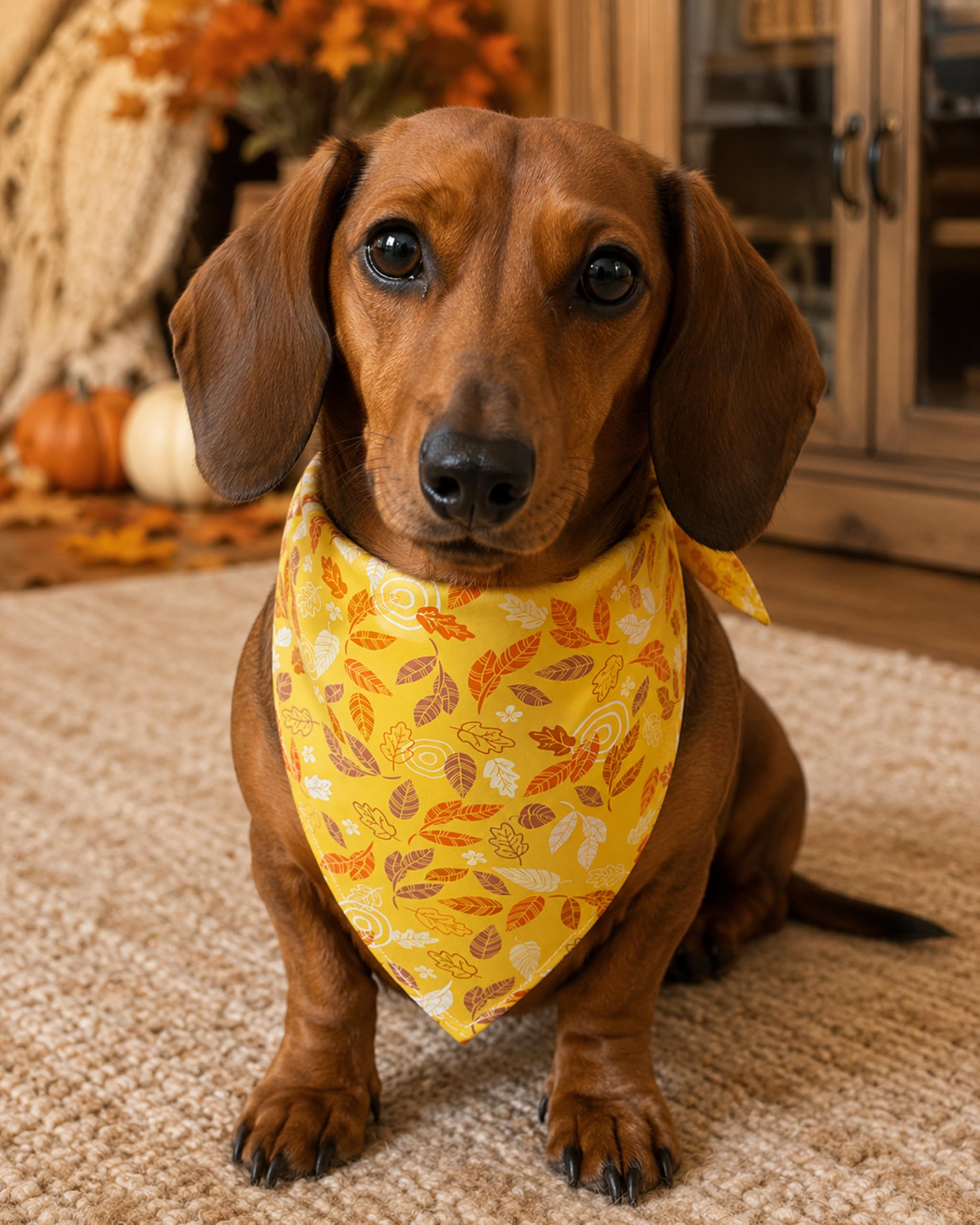 Halstücher für Hunde, Ahornblatt-Motiv, Dreieck, Halstuch, Lätzchen, Halstuch, Set für mittelgroße Hunde, Erntedankfest, Ernte, Foto-Requisiten, Zubehör, 100 Stück