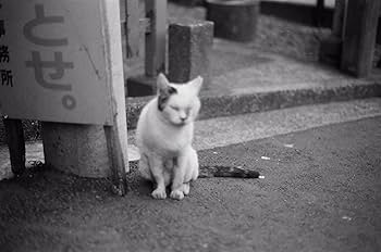 Amazon | Vetrokam 400 白黒写真フィルム 27枚撮り | Vetrokam