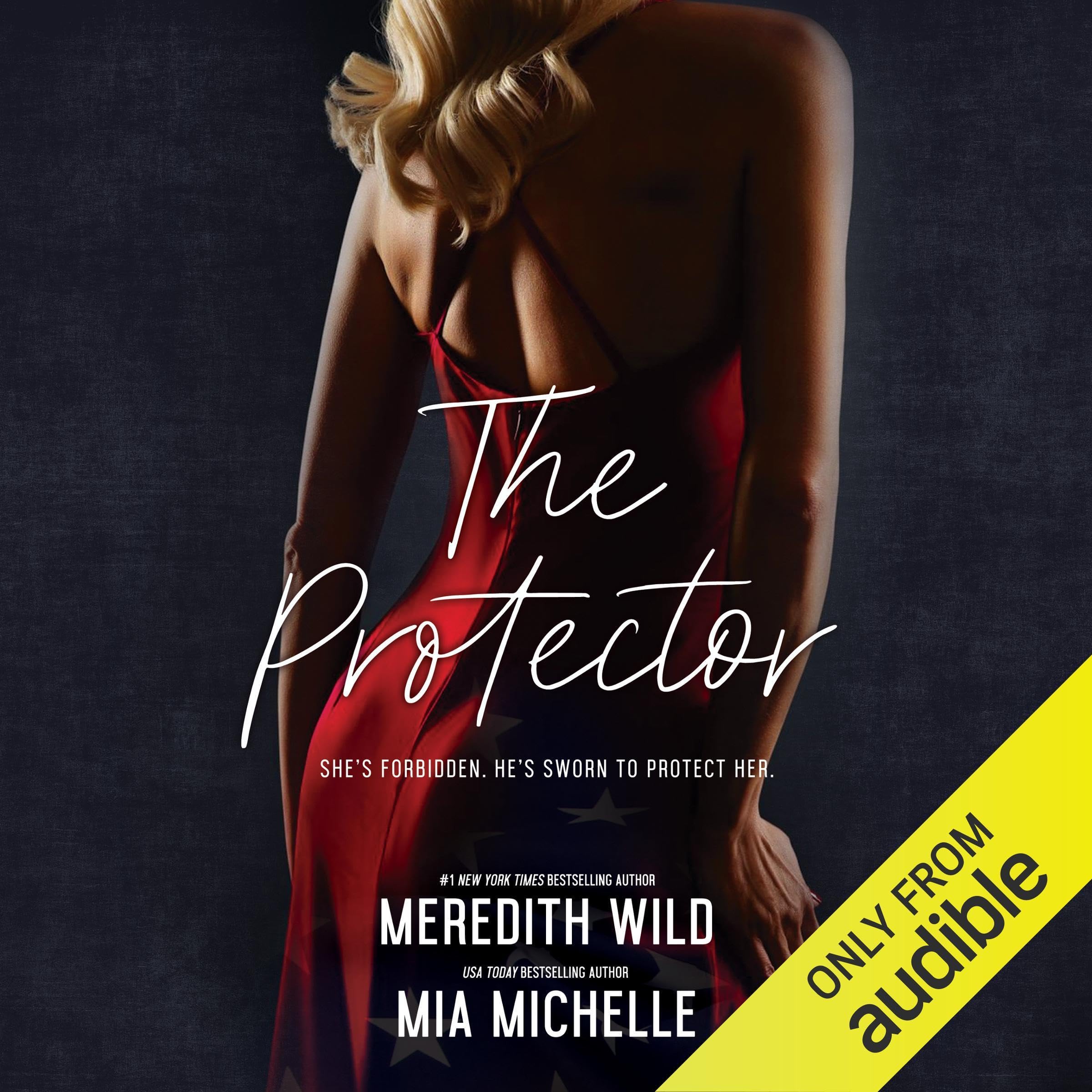 Cover art for The Protector