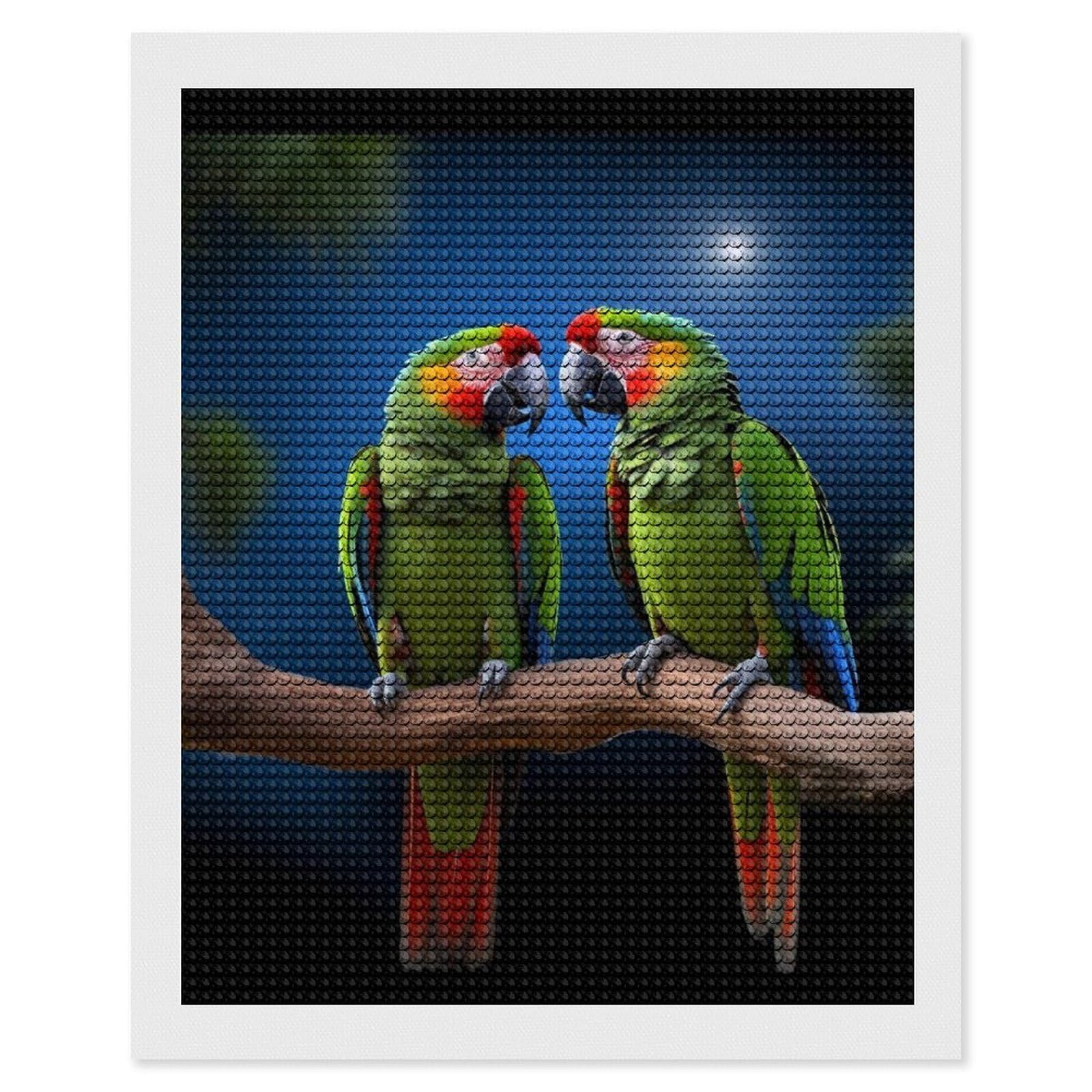 FekiLoot Parrots Diamond Art Kits for Adults, 5D Aurora Diamond Painting Kits for Beginners DIY Full Drill Dots Gem Art Paint Crafts for Home Wall Decor 16"x20"