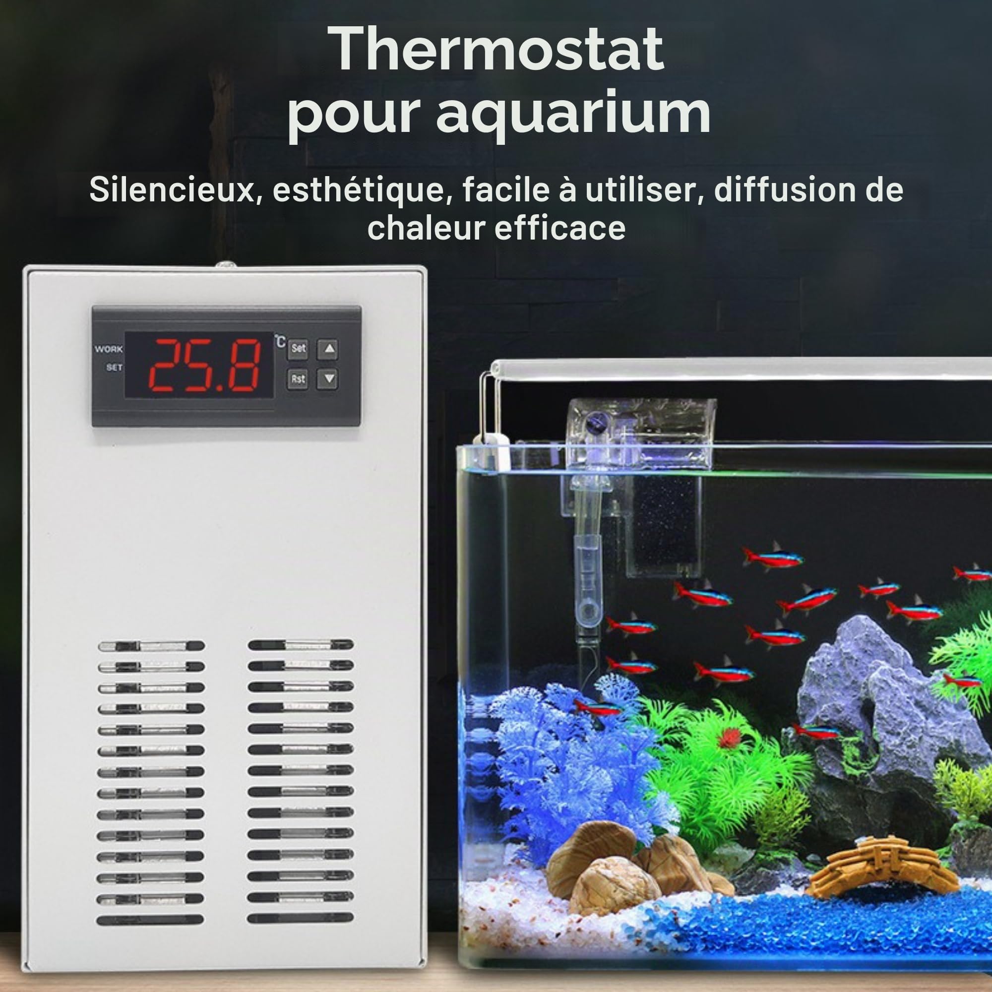 Refroidisseur D'eau D'Aquarium, Fonctionnement Silencieux 2 en 1, Refroidissement Rapide, Réglage du Refroidissement et du Chauffage pour Aquarium ≤ 20 L avec Tuyau D'eau et