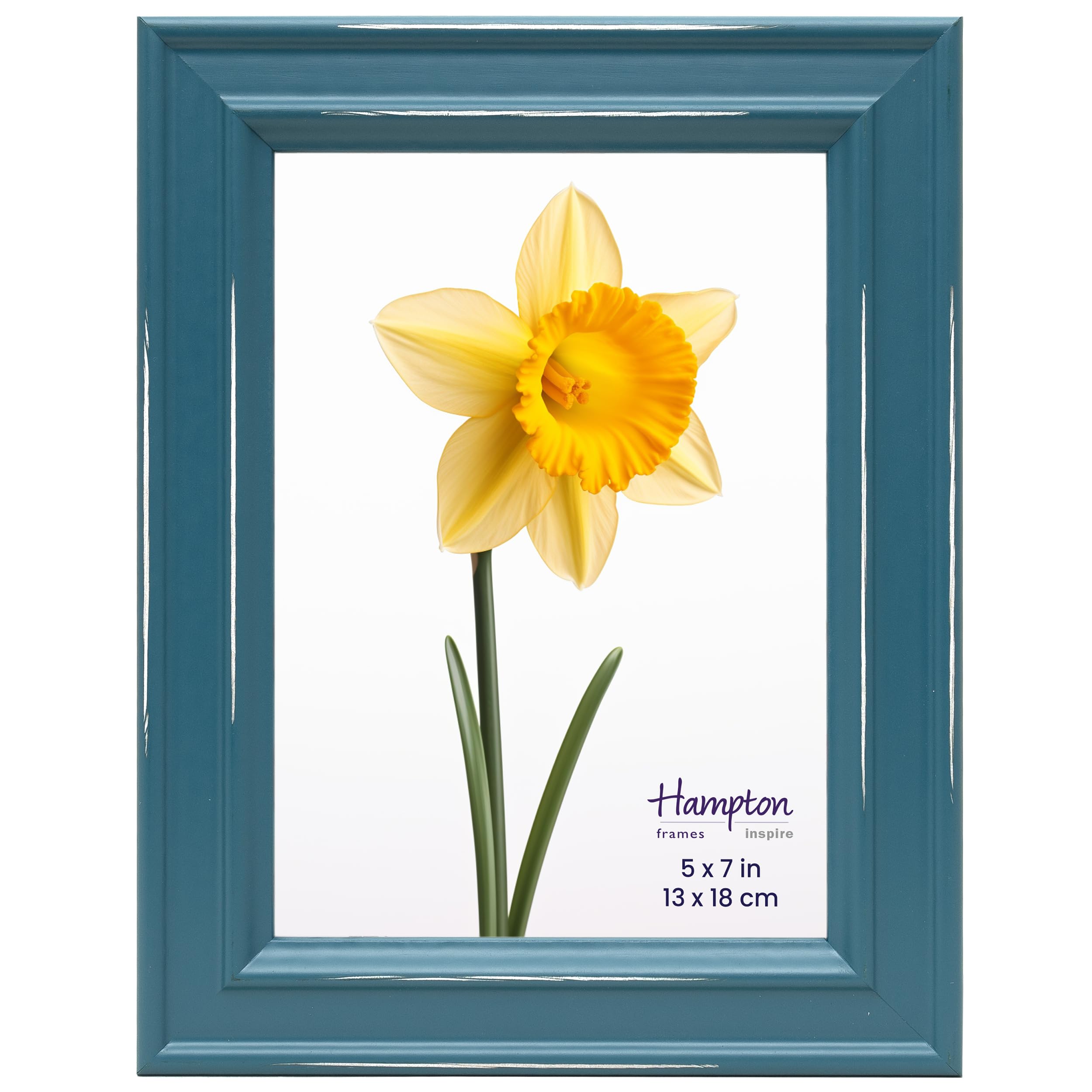Inspire By Hampton Frames Teal Inspire By Hampton Paloma 5X7 (13X18cm) Picture Photo Frame Glass Ibh-Pal301957t