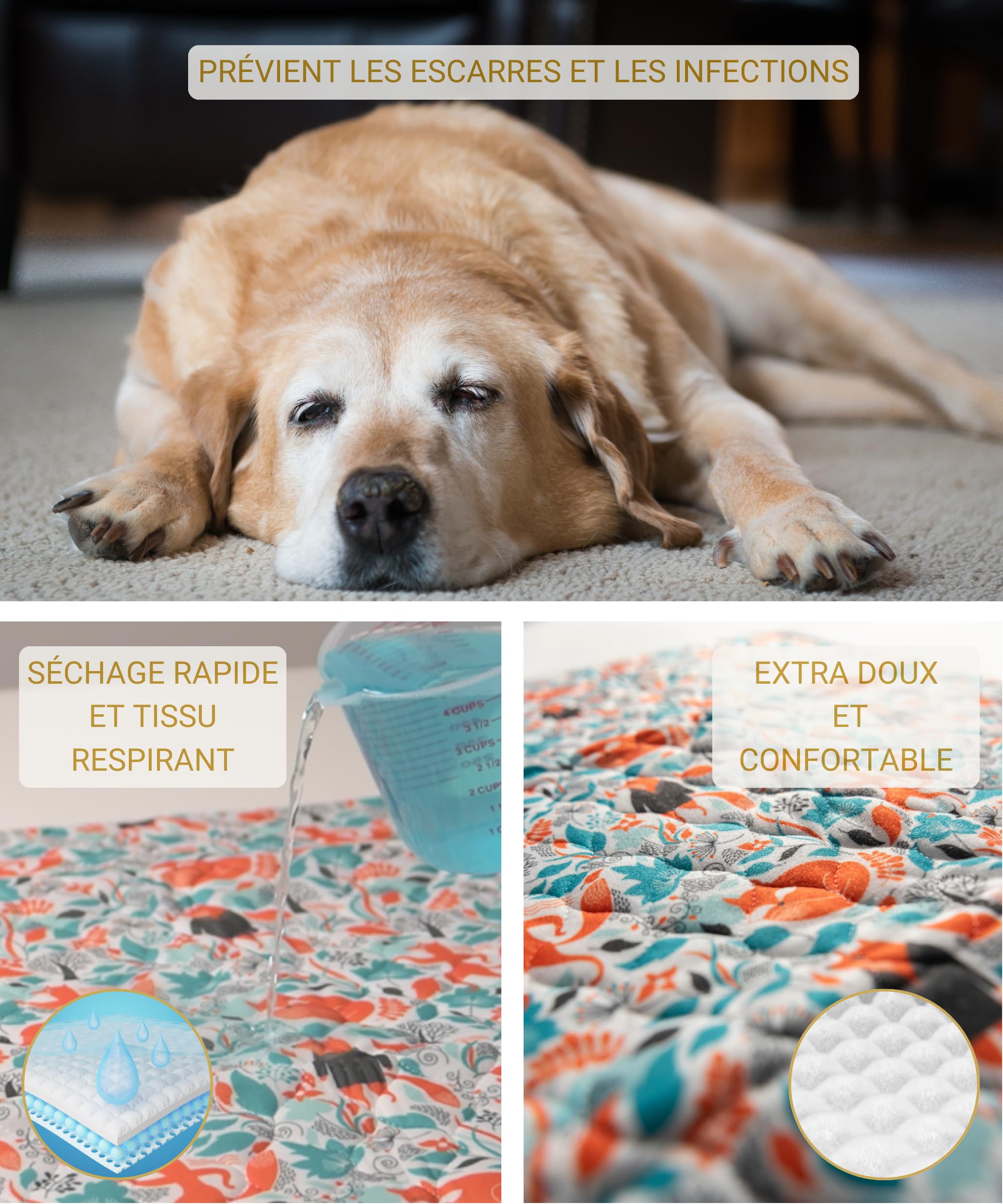 Tapis Absorbant Lavable pour Grands Chiens XXL - 2X Plus absorbants - Tapis de propreté imperméable et réutilisable - Alèse Chiots - Pipi Pad éducateur antidérapant, Anti-odeurs - 90x160cm