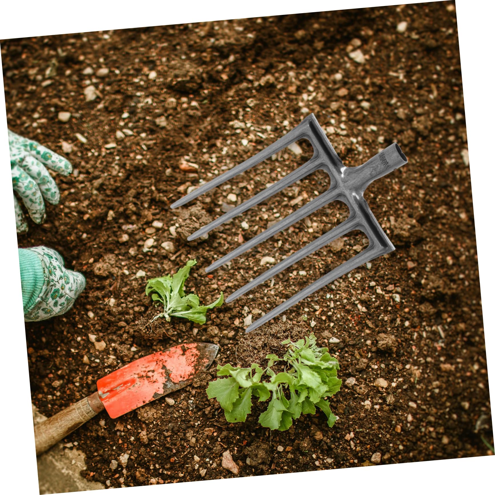 Toyvian Forca da Giardino in Acciaio 5 e 6 Denti per Scavo e Rottura Terreno, Strumento Stabile per Coltivazione e Attività Agricole in Aiuole e Orto