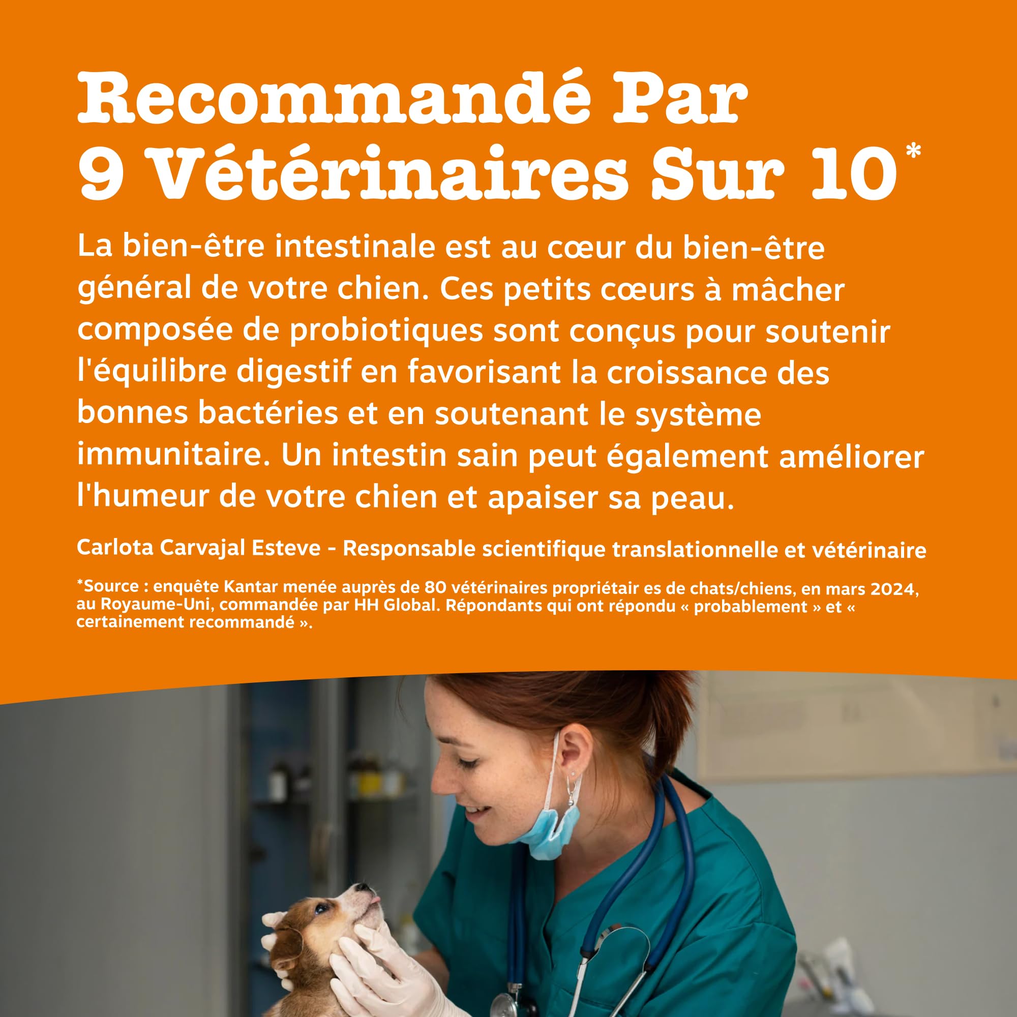 Zesty Paws Bouchées Probiotiques Chien | Supporte Digestion, Équilibre Intestinal, Système Immunitaire | Prébiotiques, Probiotiques, Postbiotiques | Usage Quotidien | 90 Bouchées