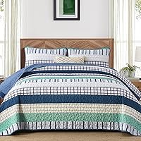 Vista 21 de DJY Juego de edredón a rayas tamaño Queen, juego de colcha bohemia verde salvia de 3 piezas, juego de ropa de cama acolchada de microfibra suave