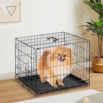 Amazon.com: Sweetcrispy 24-Inch Single-Door Dog Crate–Durable