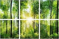 Vista 22 de YPY Paneles acústicos para paredes: 8 unidades de 48 x 32 pulgadas, paneles acústicos decorativos para amortiguar el sonido, tratamiento absorbente