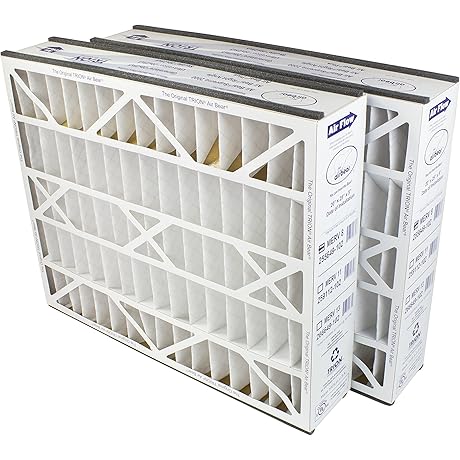 Trion Air Bear 20x25x5 MERV 8 Air Filter - Pack of 2