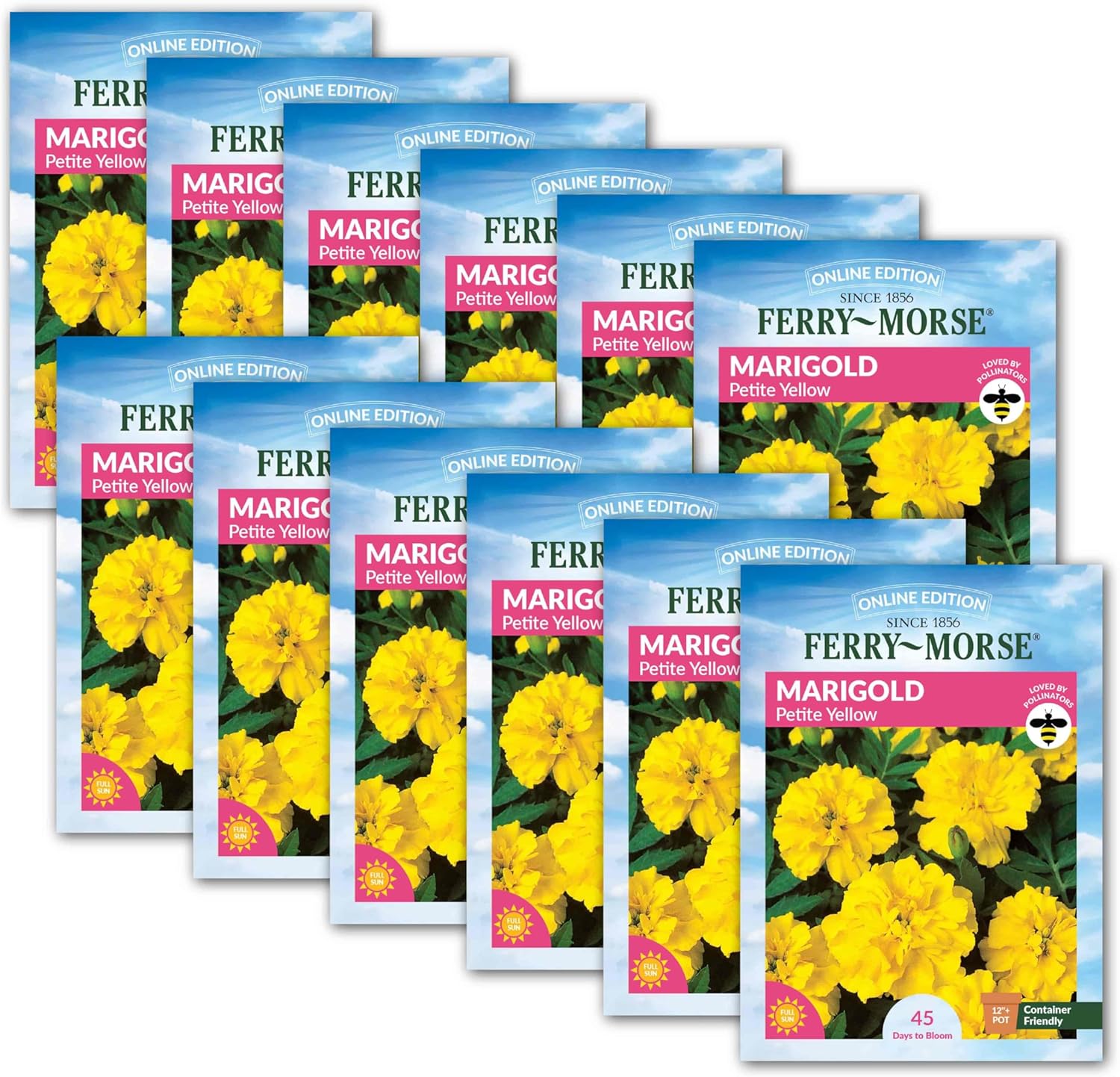 Ferry-Morse Online Edition Marigold Petite Yellow Seed Multipack- 12 Pack