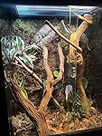 Review Image by TCUAshley08 TCUAshley08