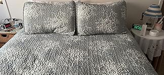 Review Image by Debi C. Debi C.