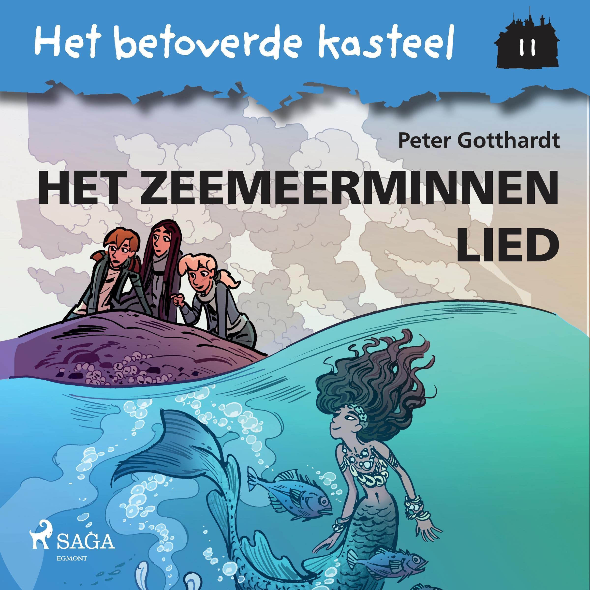 Cover art for Het zeemeerminnenlied