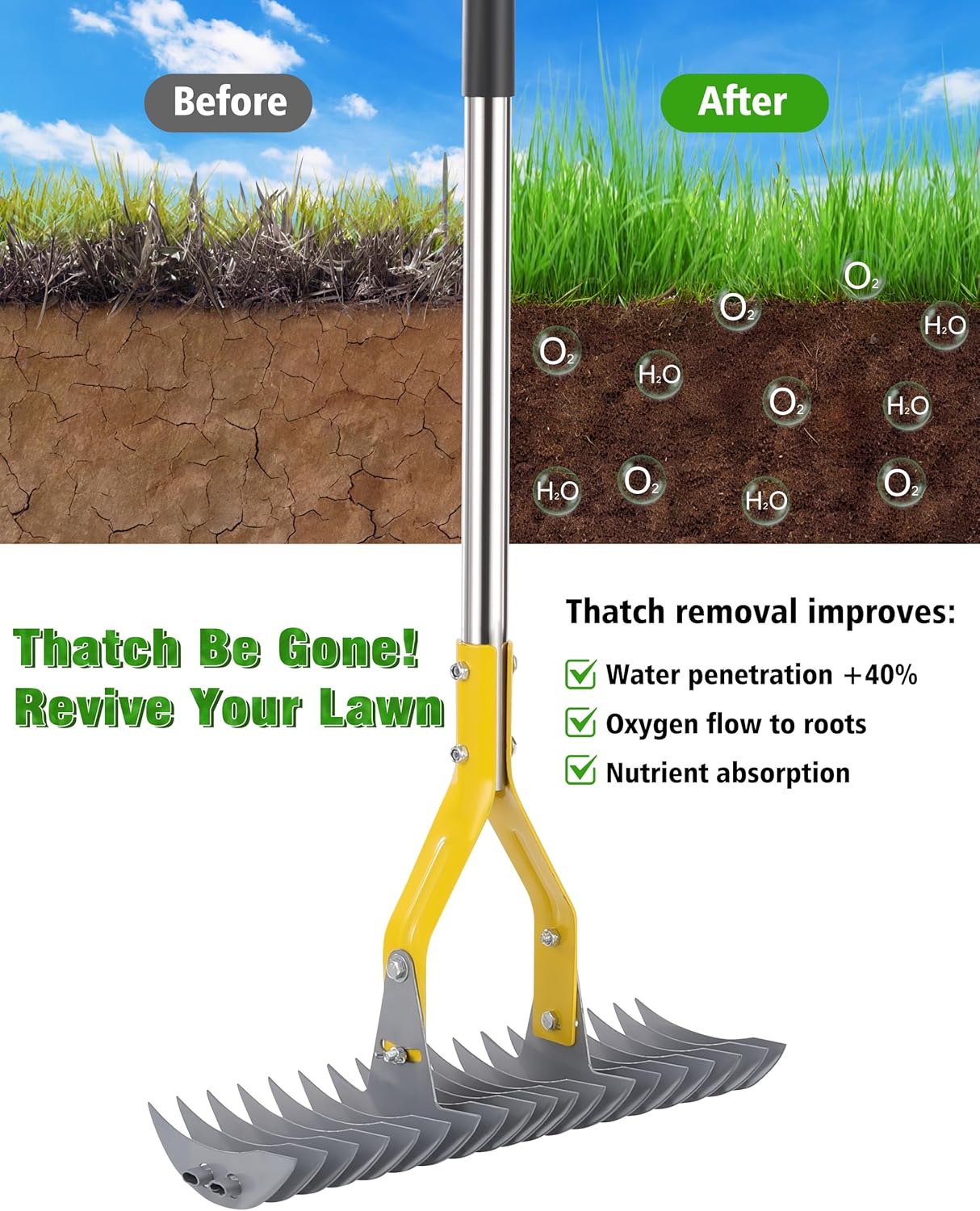 Thatch Rake,Dual-Sided Lawn Dethatcher with Stainless Steel Tines Efficient Thatching Tool for Removing Dead Grass & Moss Heavy Duty & Ergonomic Handle thumbnail