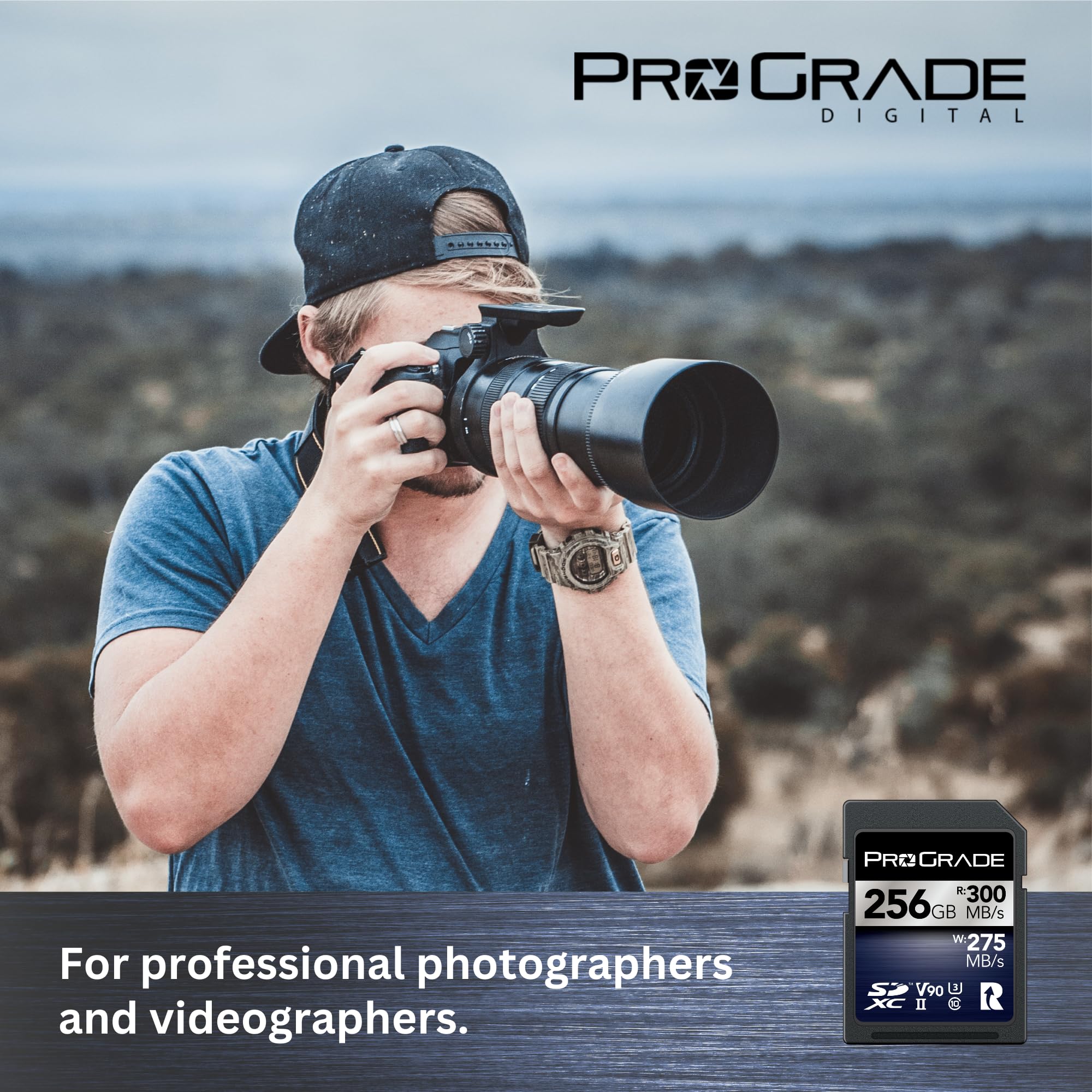 Carte Mémoire ProGrade Digital SDXC UHS-II V90 Iridium (256 Go)