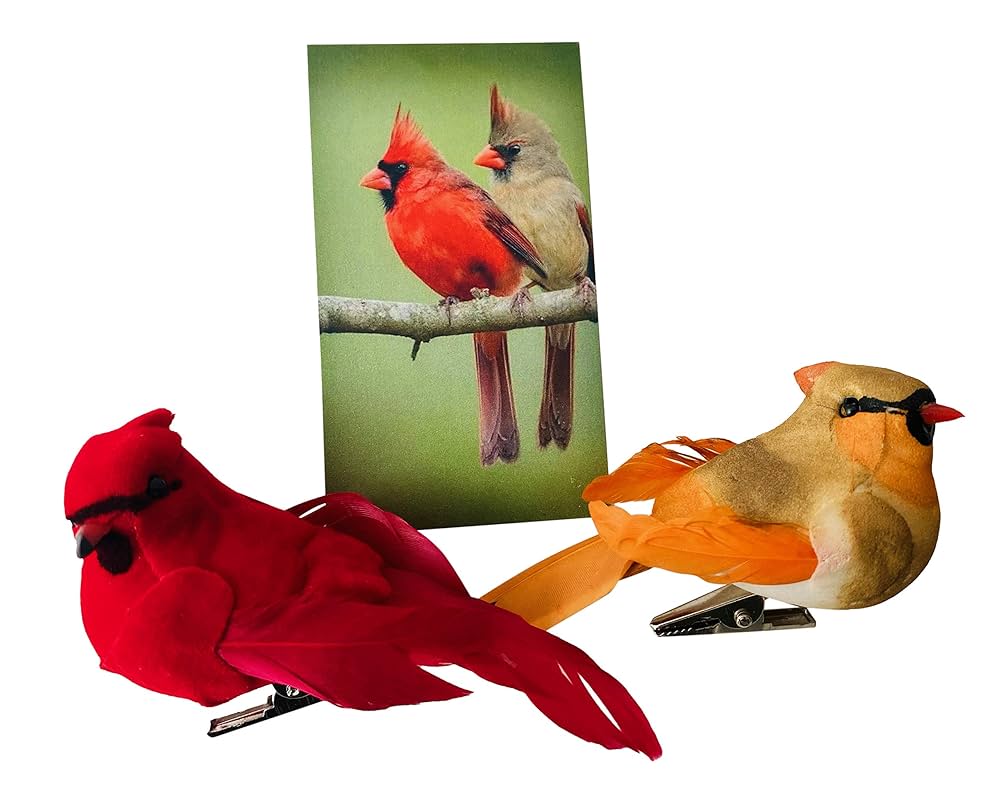 置物  Birds Red Cardinal Westmon Works Cardinal Decor Set with Clip Male and Female