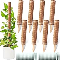 Vista 10 de 2 postes de musgo de coco de 12 pulgadas para plantas trepadoras con 4 lazos ajustables para plantas, palo de tótem de musgo de coco para extensión