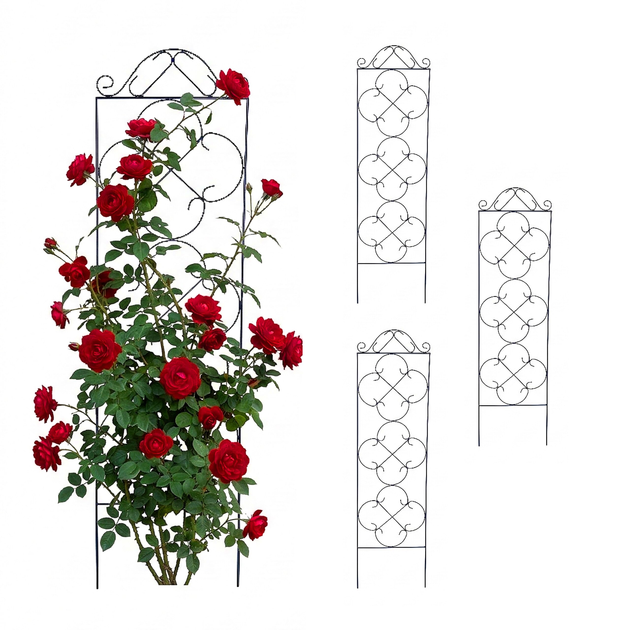 Support pour plantes grimpantes treillis de jardin en métal noir pour rosiers lot de 4