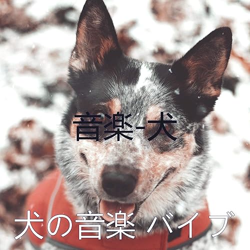 Amazon Music 犬の音楽 バイブの音楽 犬 Amazon Co Jp