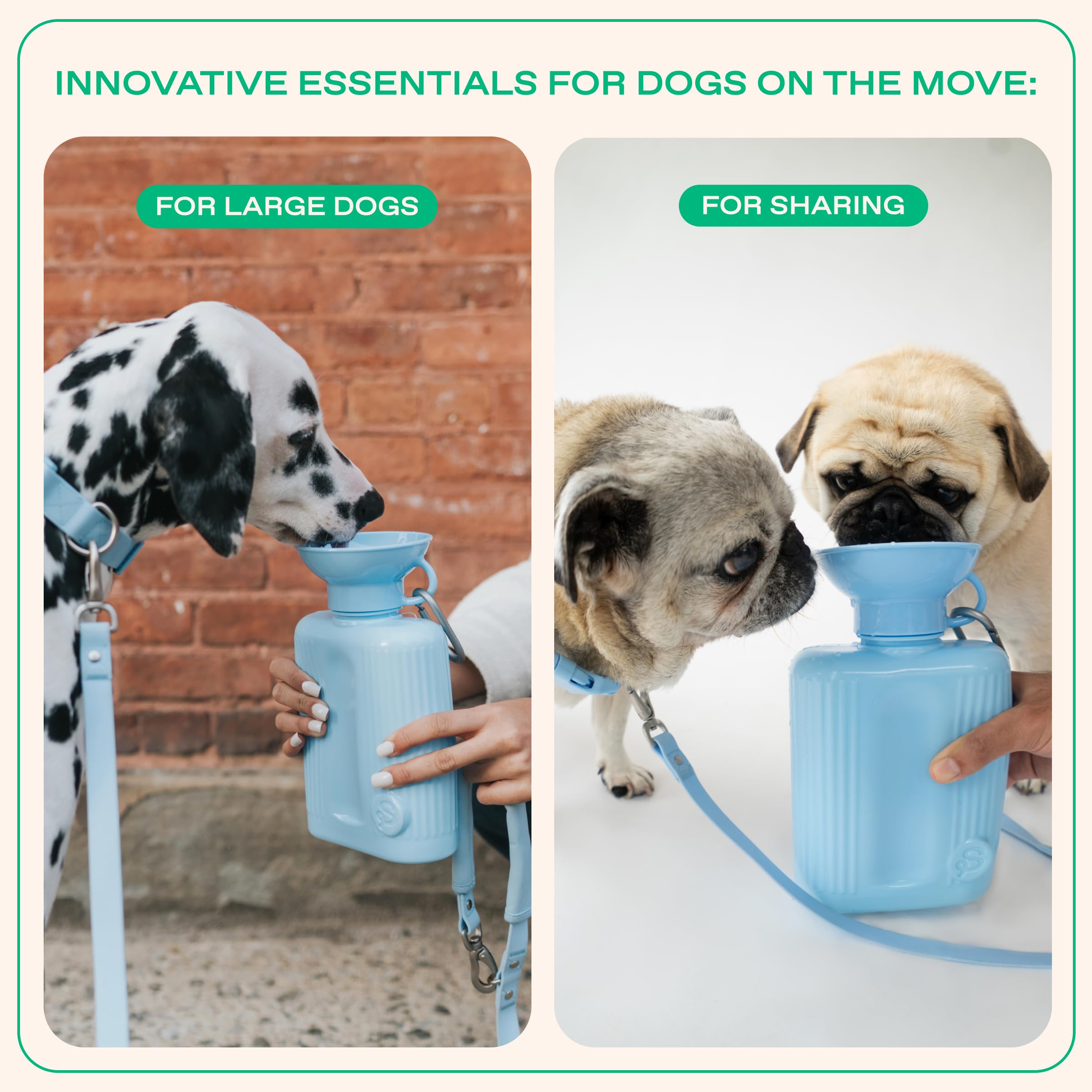 Springer Dog Water Bottle | Portable Travel Water Bottle Dispenser